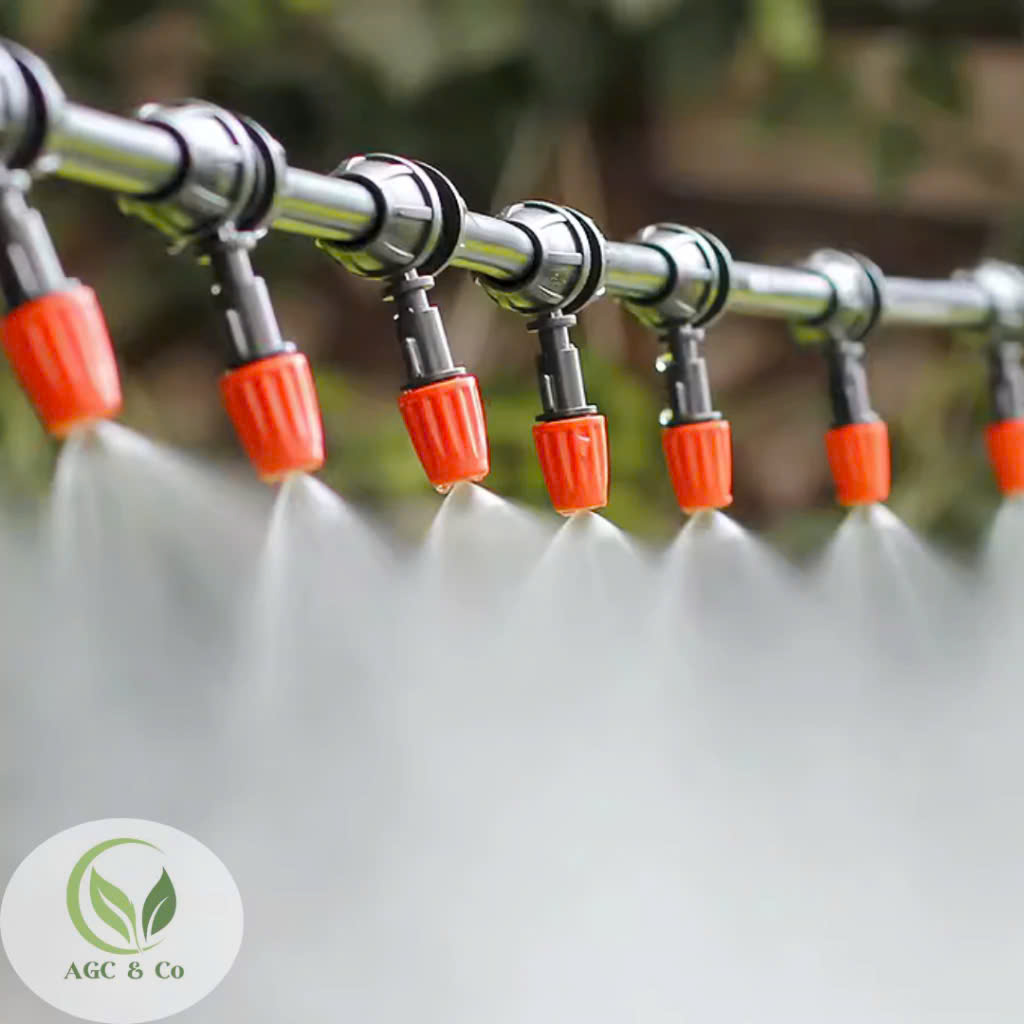 z6511458667639_6ae8f46e4a5db74a6bd702086e6c78e3