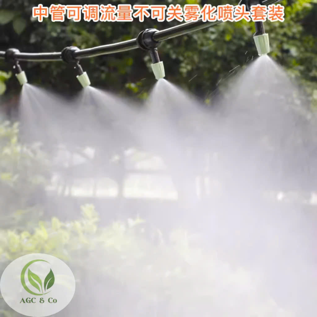 z6511459308171_7ac7ed727979c7253e3c9037c164d775