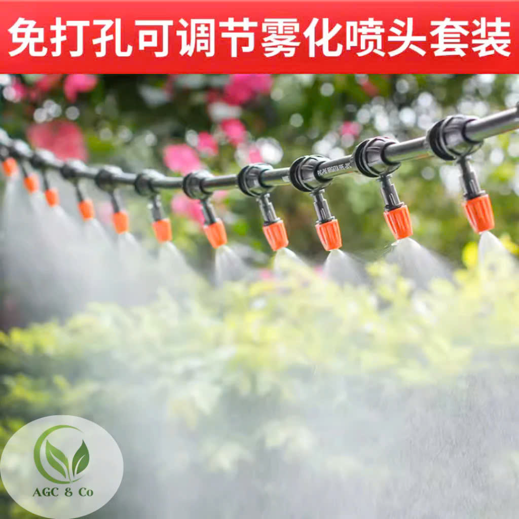 z6511459637297_2fd2a1bd2961782bec65dc6bc371d927