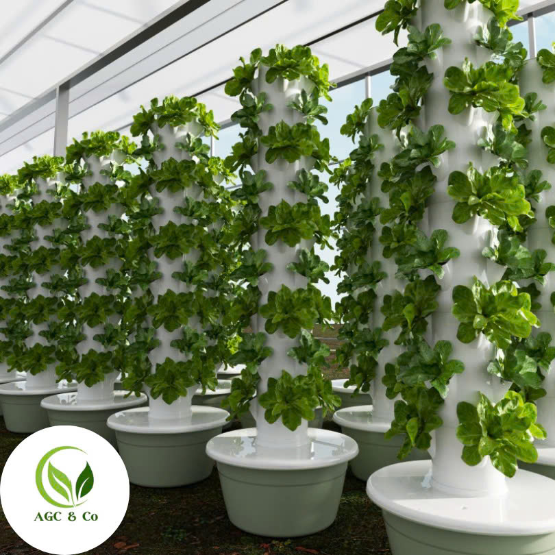 z6512375613992_251a21deb33ad1bd78c47cdddb73920c