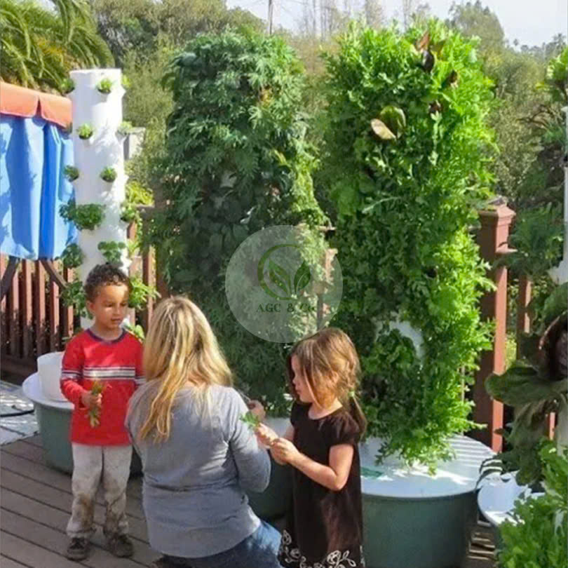 z6512376093233_2ede304faf71ad36e3be6f92f96891cc