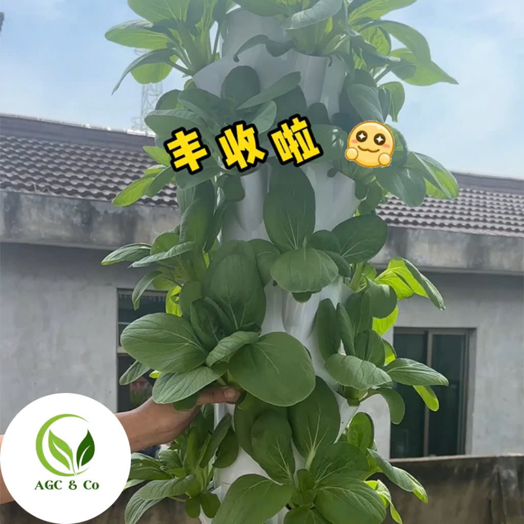 z6512376928744_bcd7f1c5c8dee22eb4145ac6e35990e4