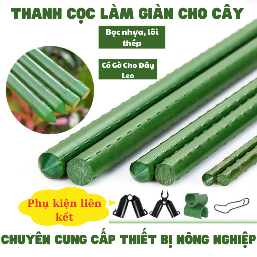 z6520488016529_65cb20feb5929c6dcc597f58708a6b03