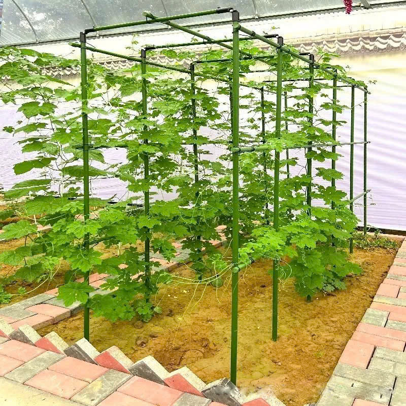 z6520488230259_107de98286ff2075777a70a0a147058f