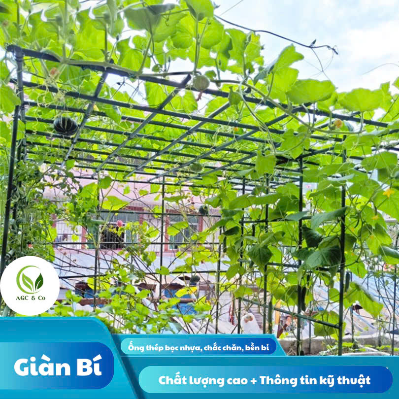 Giàn Leo cho cây trồng