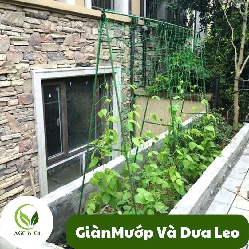 z6520489367985_e0454a472a0d56a2b49b08a72993a98f