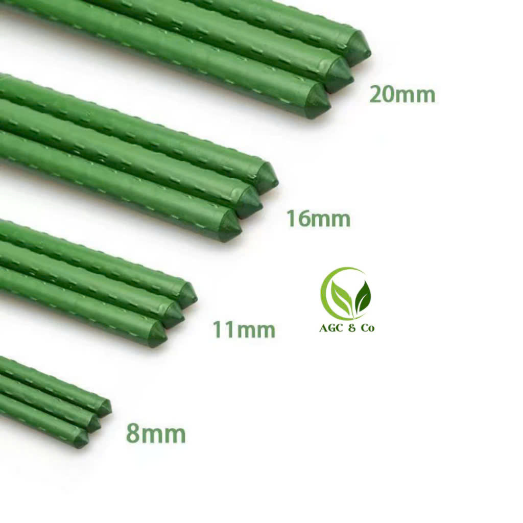 z6520489884065_97ca04a080d533a1c6b275e9f42485f5