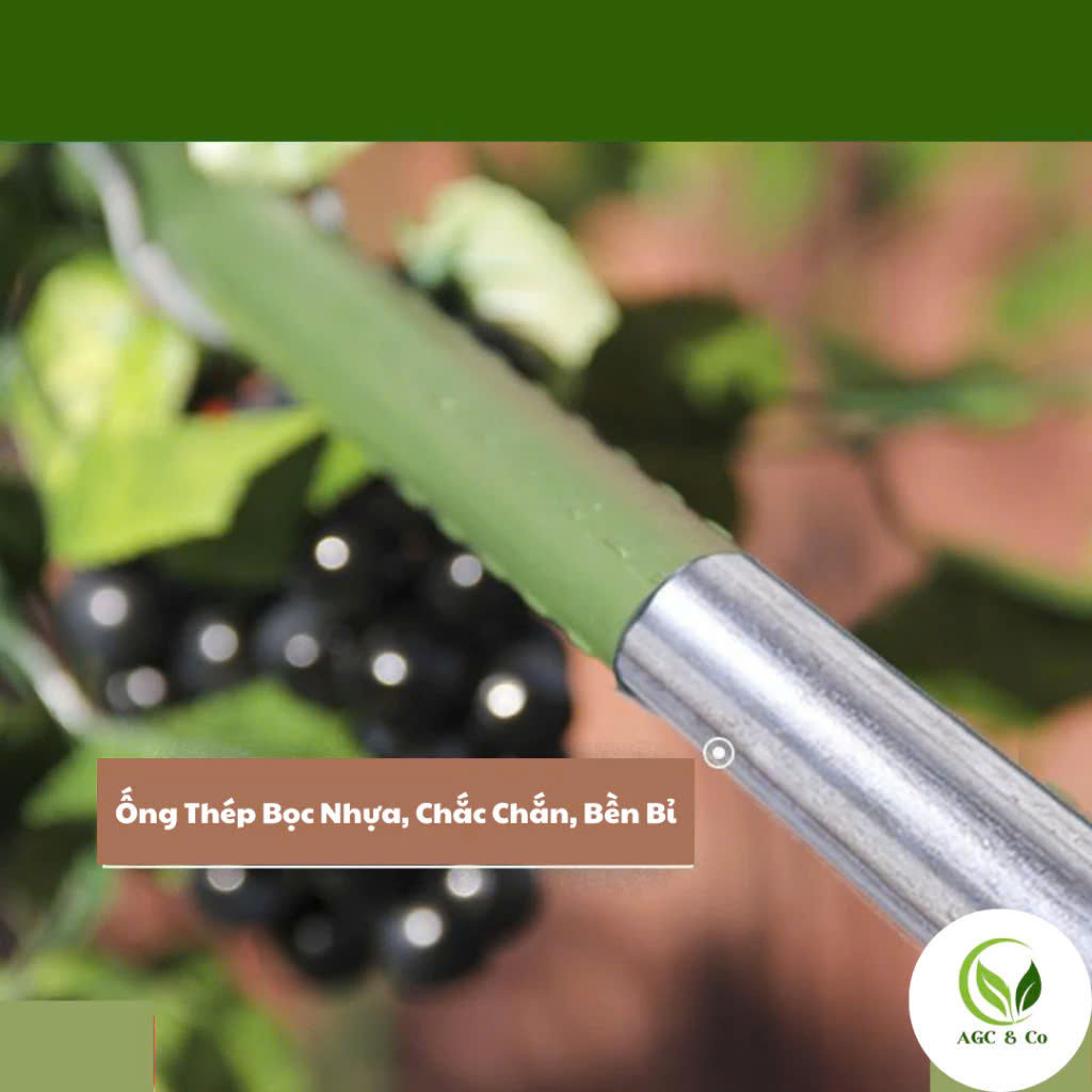 z6520490093746_de123d7699f80ed5778445a036d7d00b