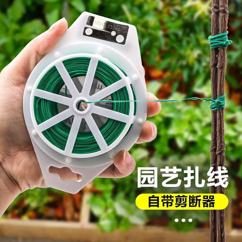 z6520592881218_fdcf6596c2a842d0c42869b09843387a