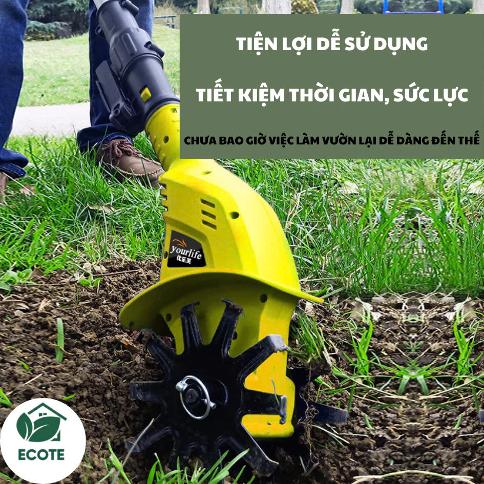 z6520653514821_e954dc4070f7a4d98a3829a52aa9654a