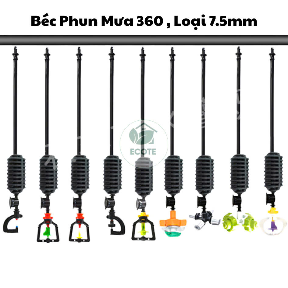 z6520757916001_4163da6d51debbf2627050b142456817