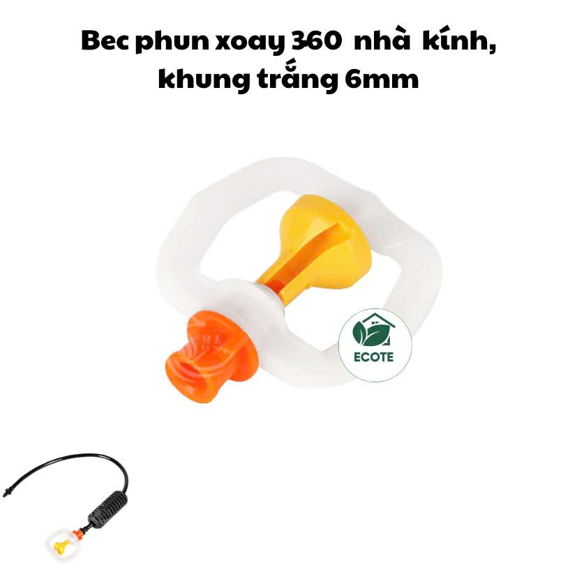 z6520758672676_2d091f81cfa0cdd6def7368c552d82a8