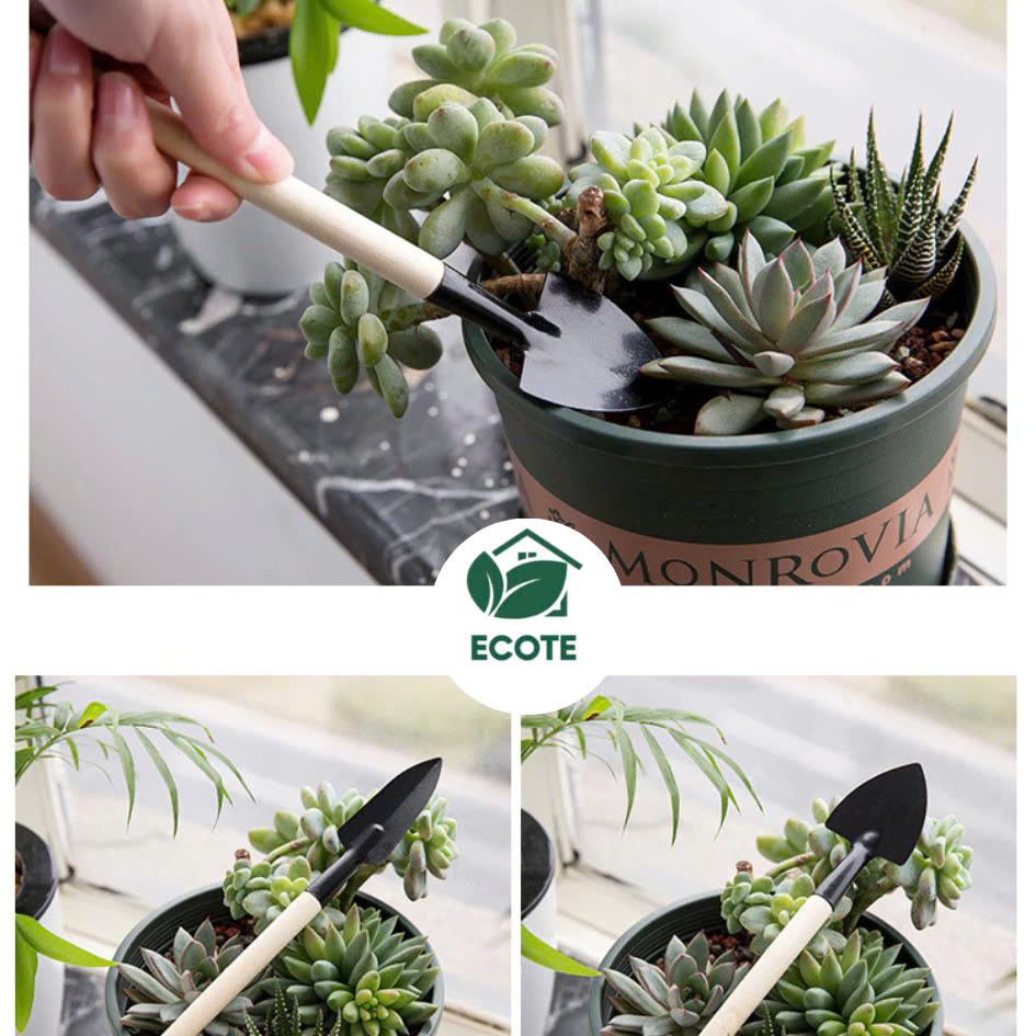 z6520790981582_b8d456043c4f36725eb9c2bf23082b55