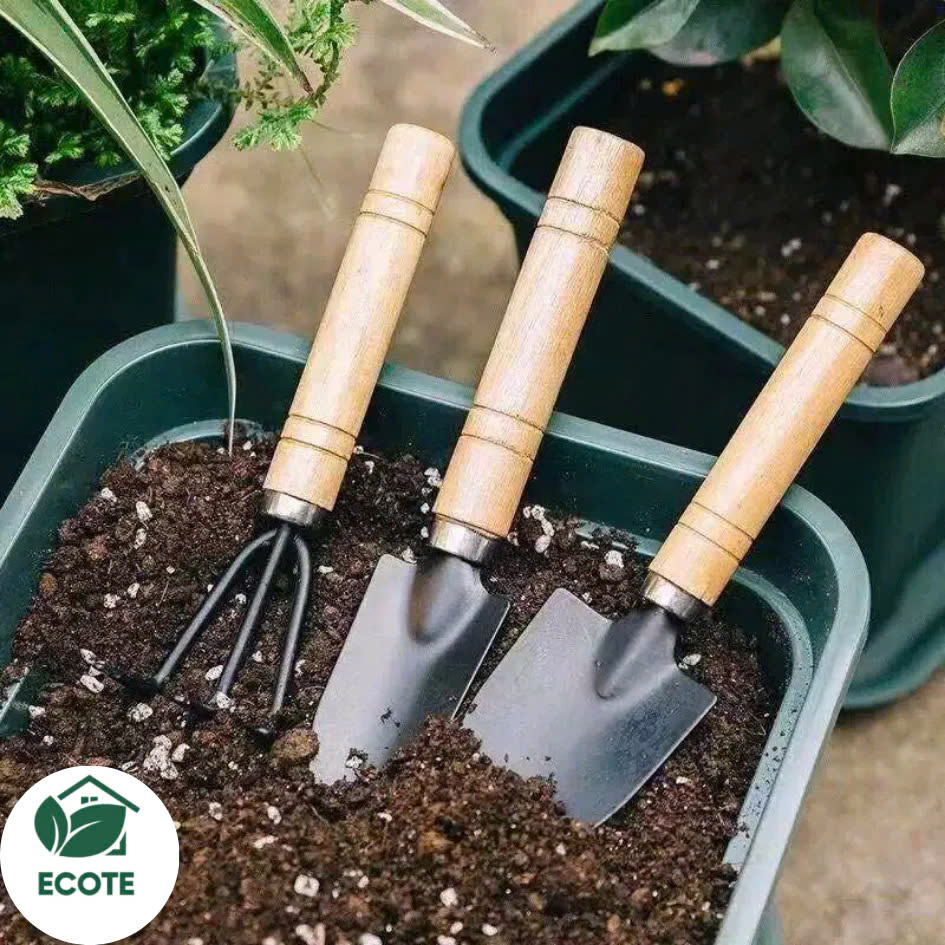 z6520792427828_554cfa029c94845b348b8ee3737dd851