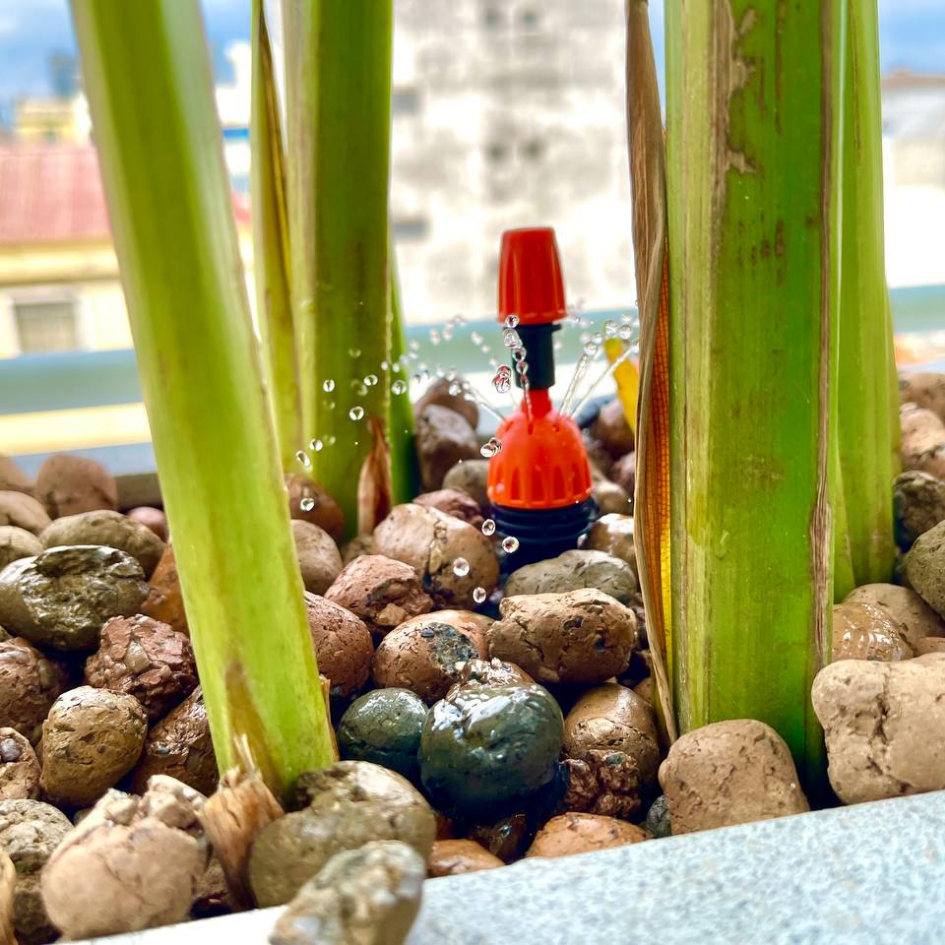 Hệ thống nhỏ giọt ban công, sân thượng