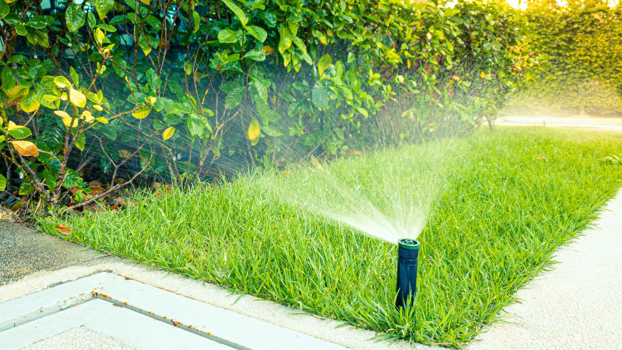 thi công hệ thống tưới cây tự động