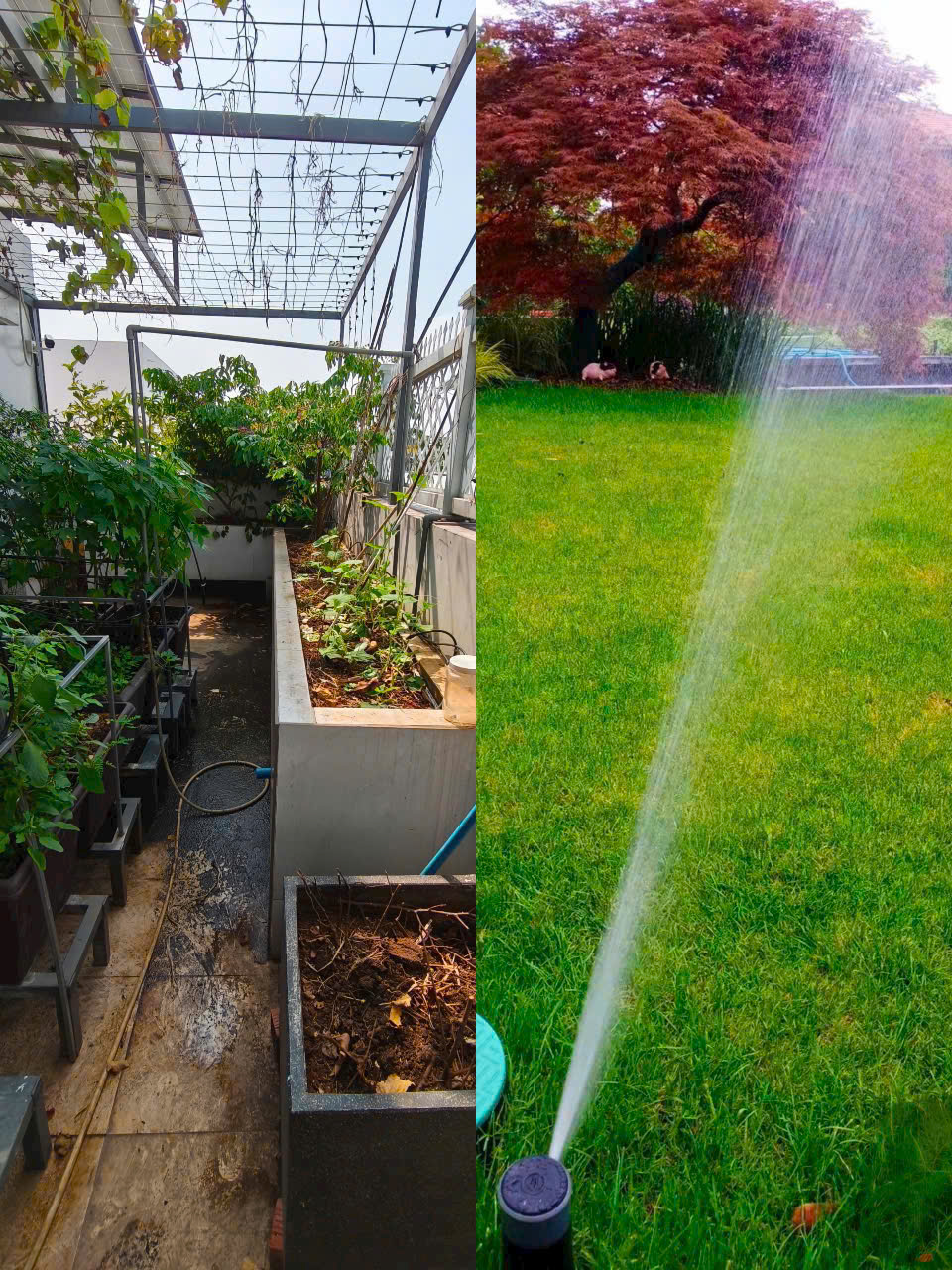 tưới cây tự động biệt thự