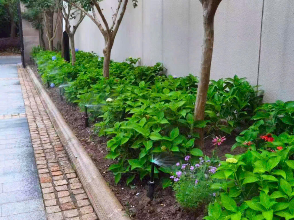 tưới cây tự động biệt thự