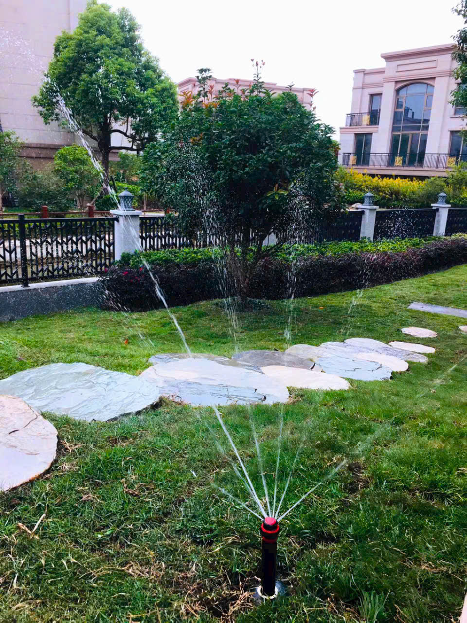 tưới cây tự động biệt thự