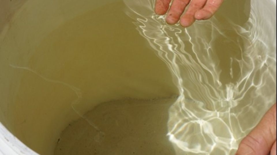 độ mặn bao nhiêu thì tưới cây được