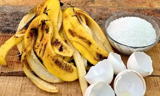 làm phân bón từ vỏ chuối