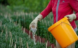 độ mặn bao nhiêu thì tưới cây được