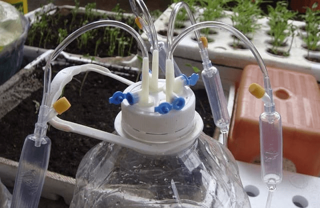 làm bình tưới cây bằng chai nhựa