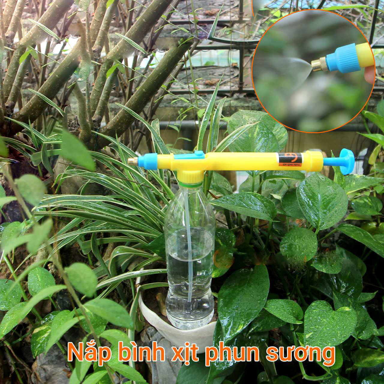 làm bình tưới cây bằng chai nhựa