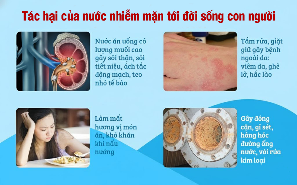xử lý nước nhiễm mặn