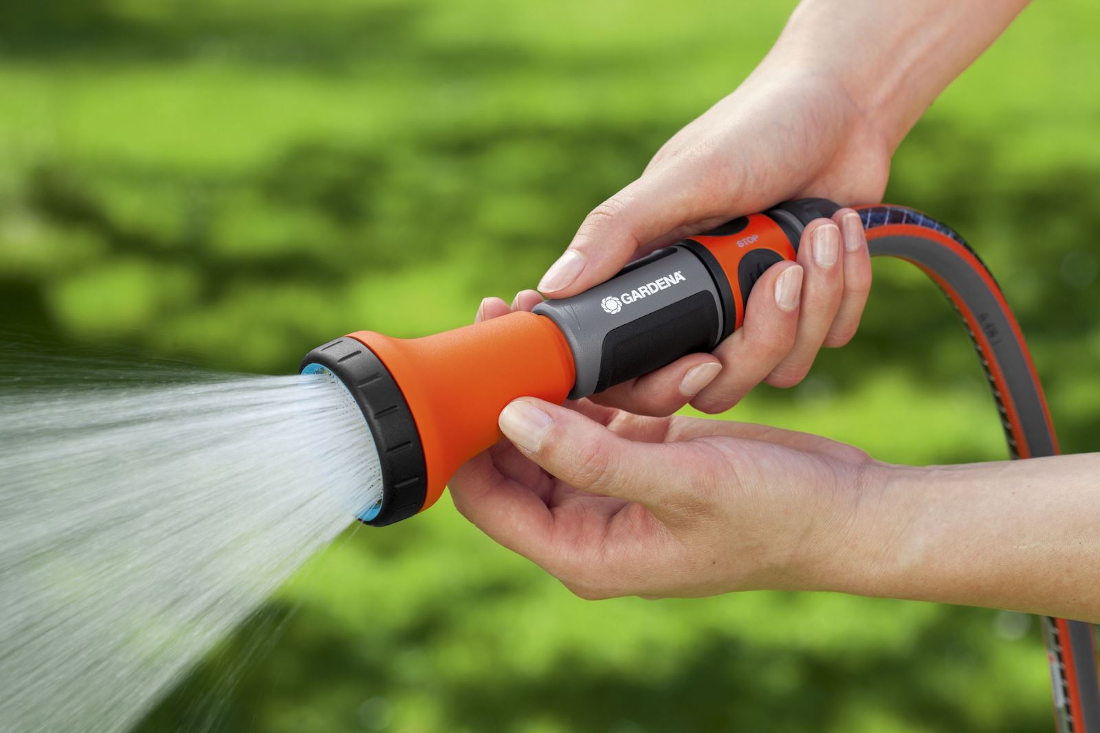 tưới nước cho cây