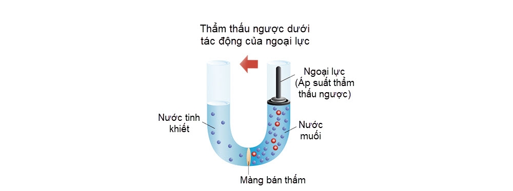 xử lý nước nhiễm mặn