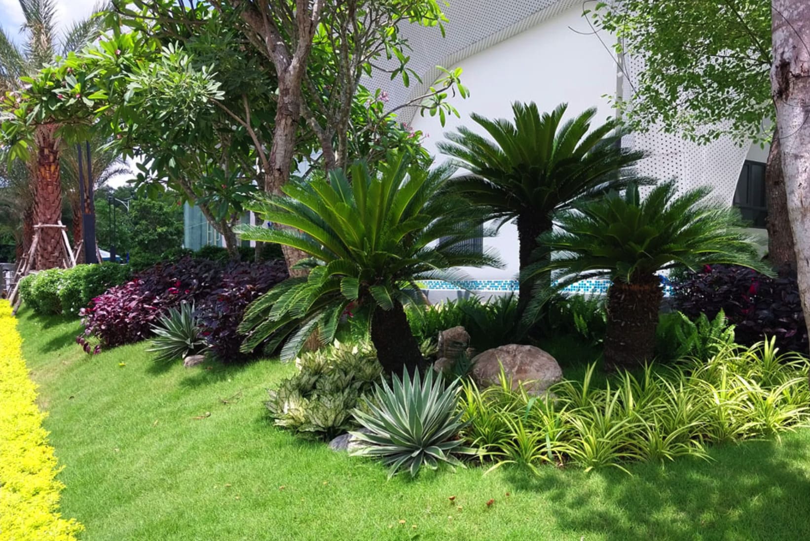 dịch vụ chăm sóc sân vườn