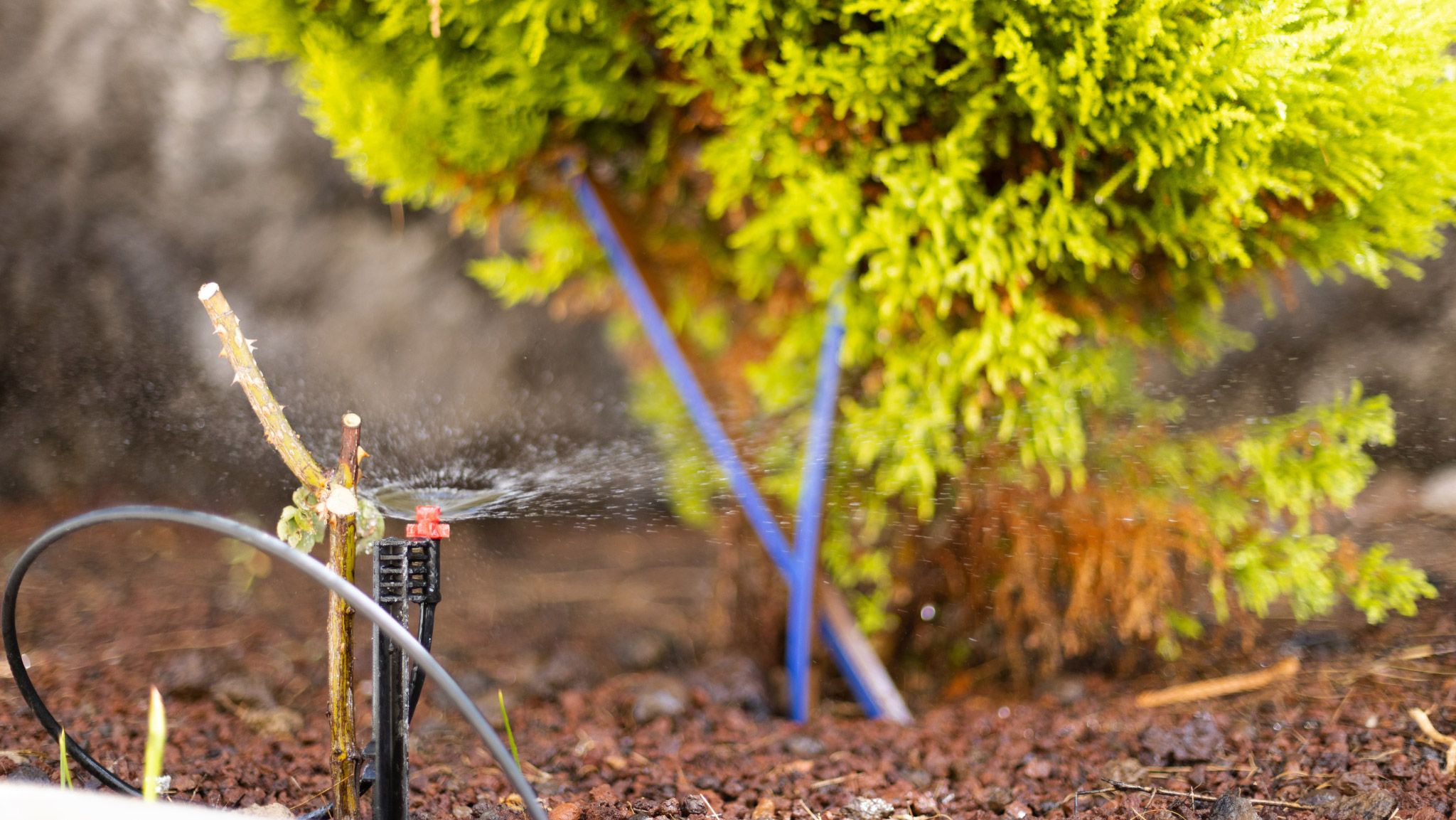 bảo dưỡng hệ thống tưới cây tự động