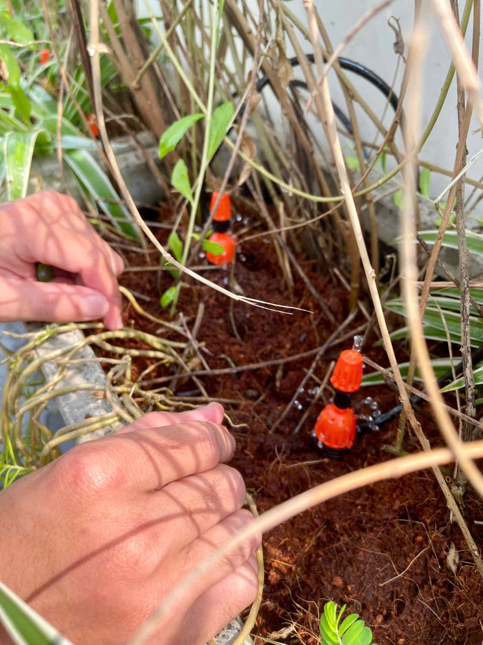 bảo dưỡng hệ thống tưới cây tự động