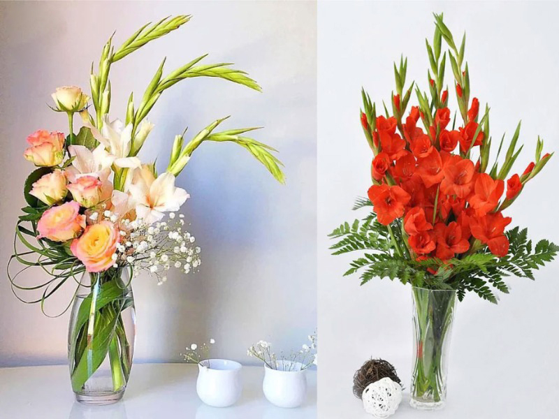 cách cắm hoa lay ơn