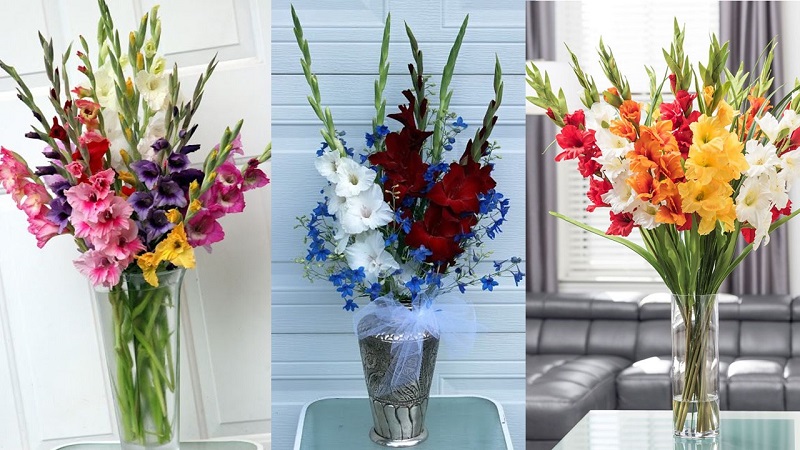 cách cắm hoa lay ơn