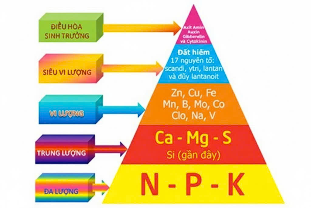 dinh dưỡng cây trồng