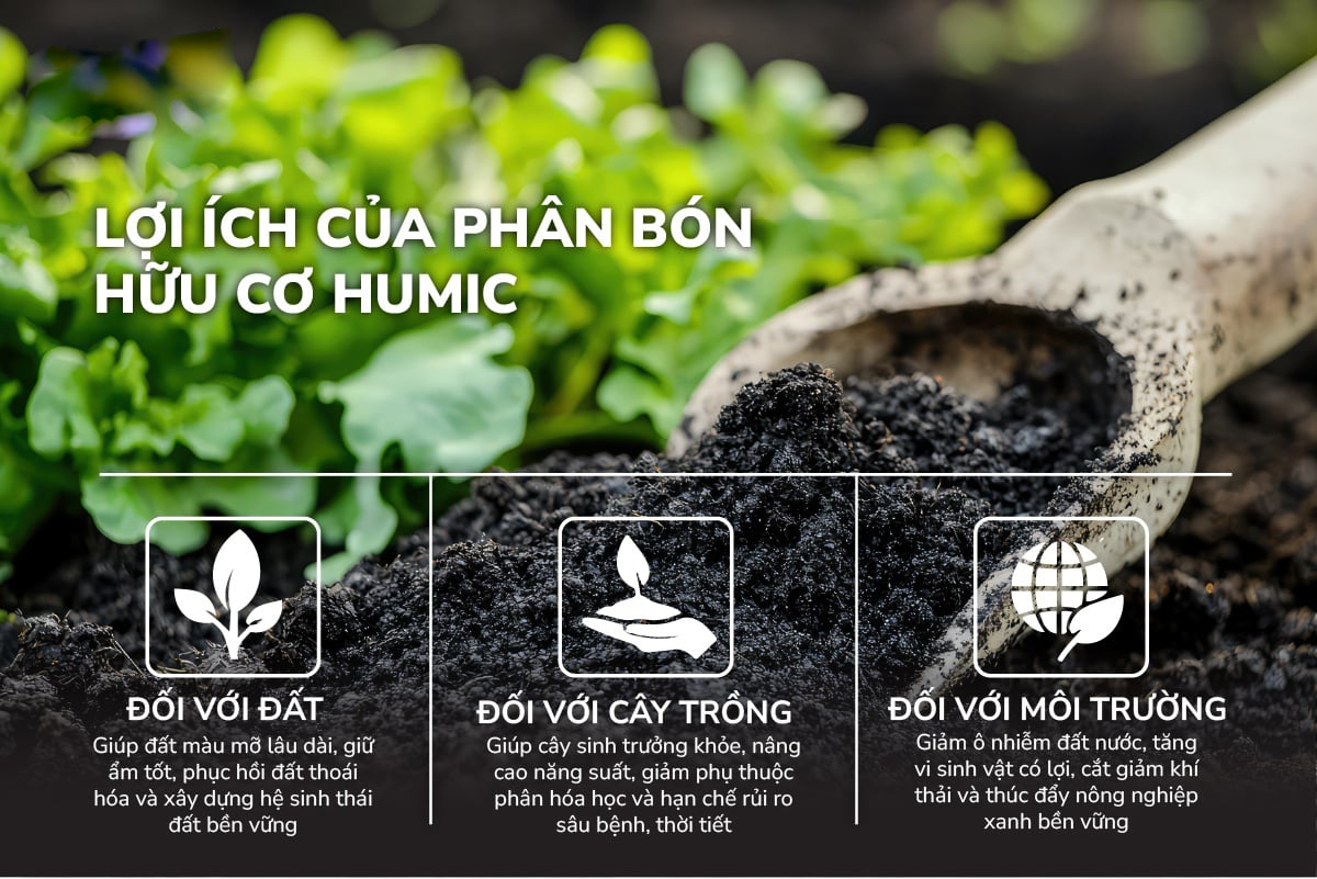 phân bón humic​