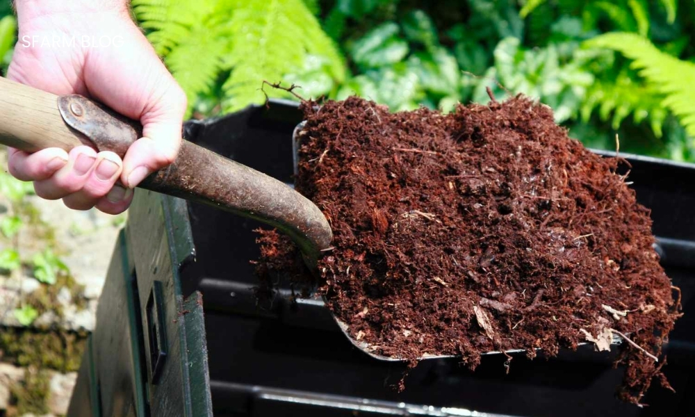 Humic kết hợp với vi sinh