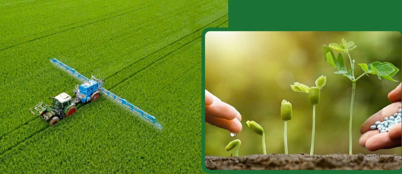 phân bón hữu cơ