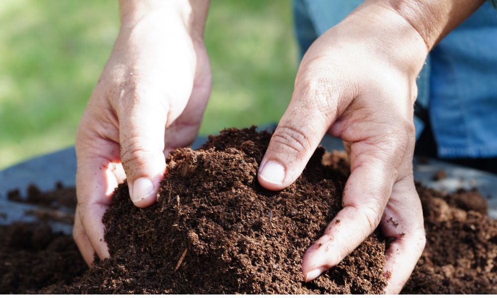 phân bón hữu cơ