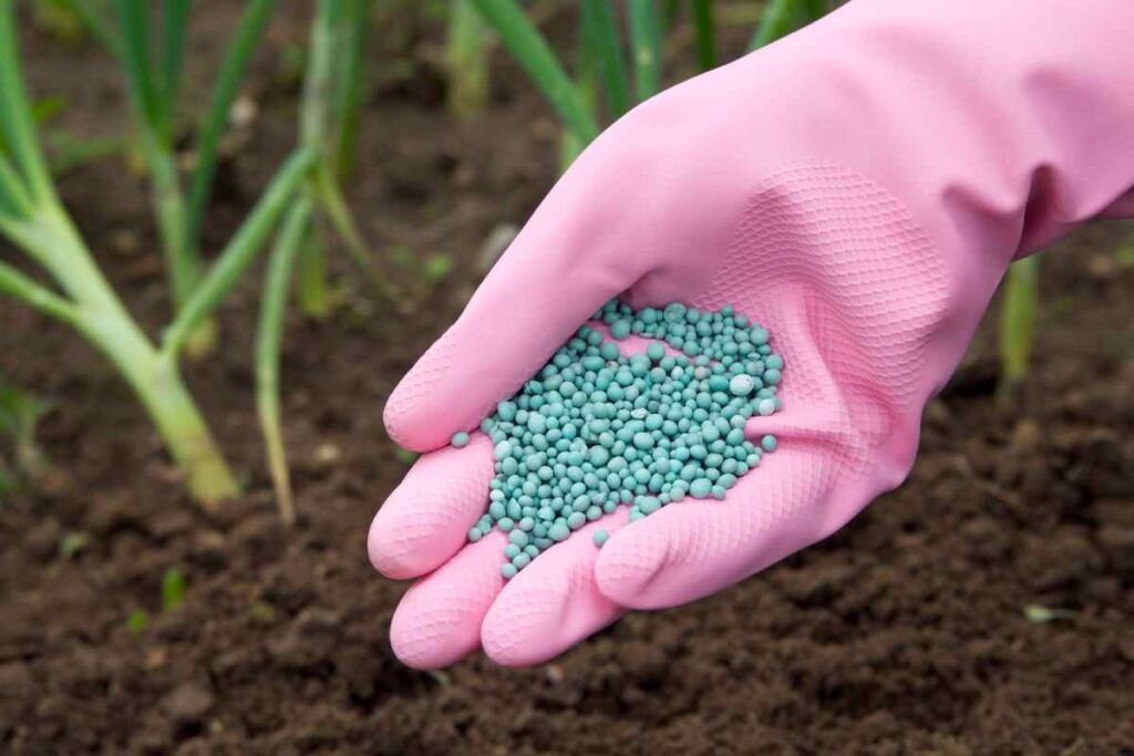 phân bón vi lượng