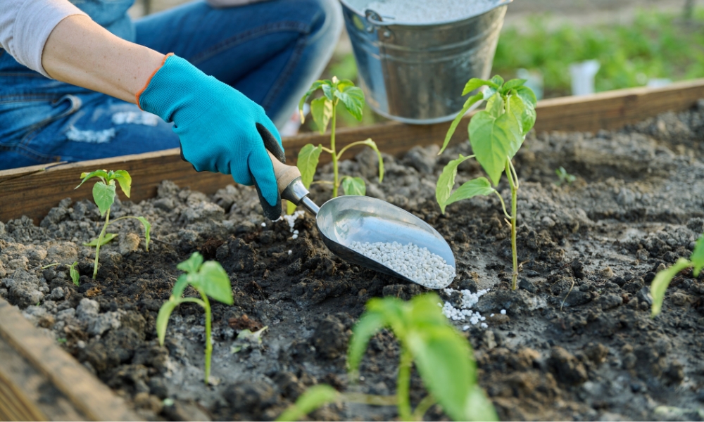 phân bón vi lượng