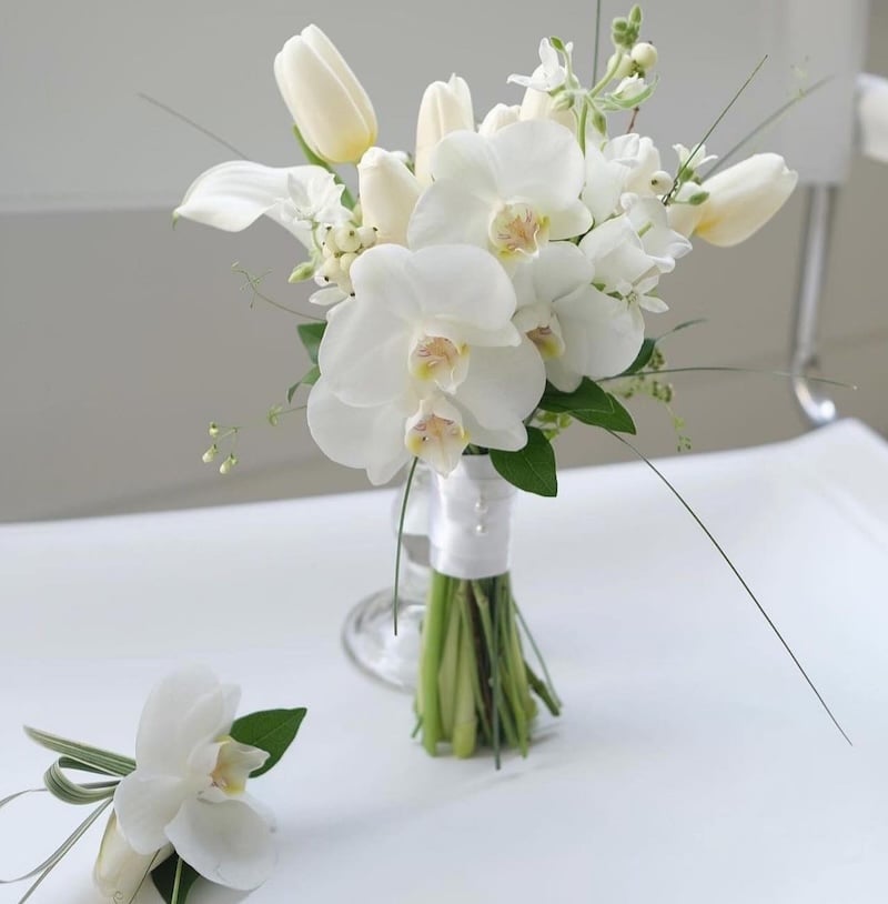 hoa lan hồ điệp