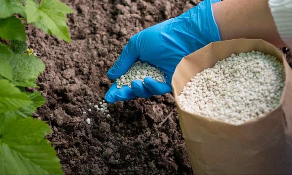 phân bón vô cơ