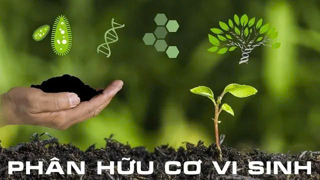 phân bón hữu cơ