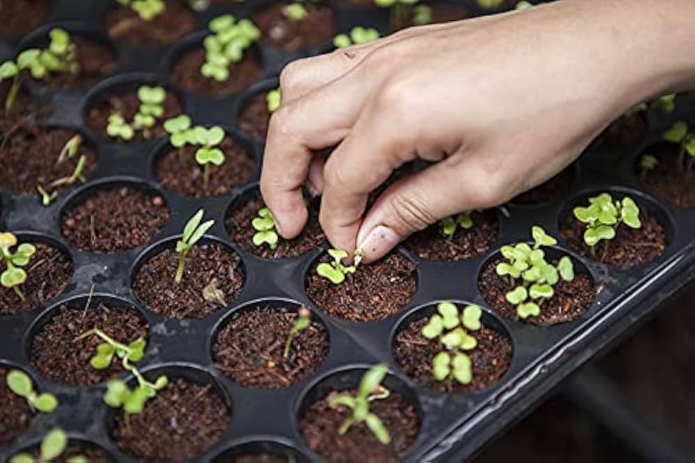 có mấy phương pháp chọn tạo giống cây trồng