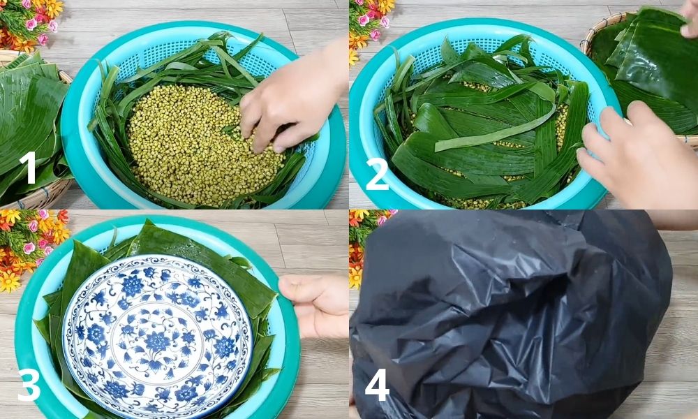 cách làm giá đỗ