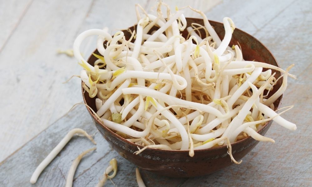 cách làm giá đỗ