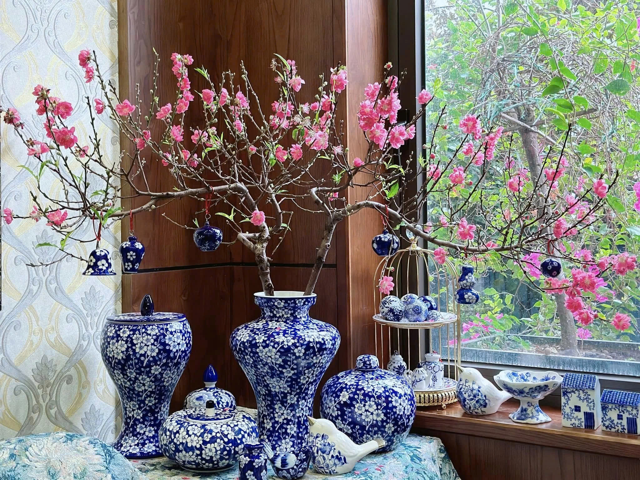 hoa đào ngày tết